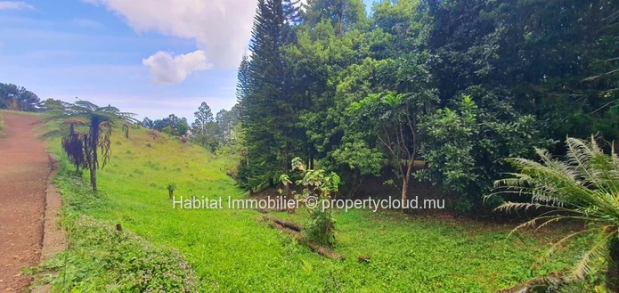 A VENDRE - Ce magnifique terrain commercial de 2 arpents 13 situé dans un cadre enchanteur à Plaine Champagne