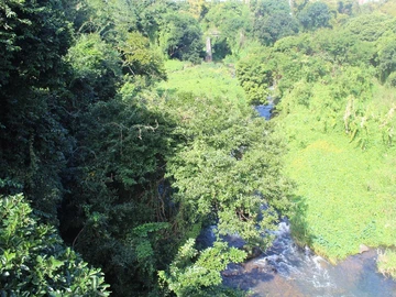 Terrain