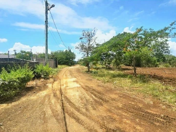 Terrain