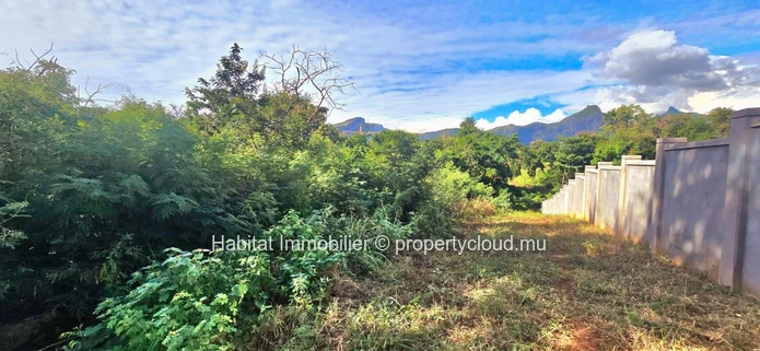 Located in the industrial zone of Pailles, this land of 2 arpents 89 (12,219 m² / 3,215 toises) offers excellent deve...