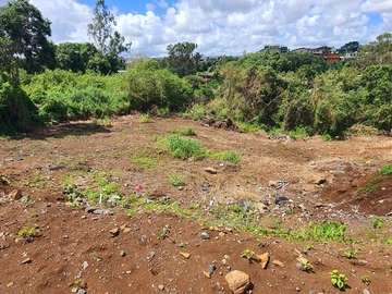 Terrain