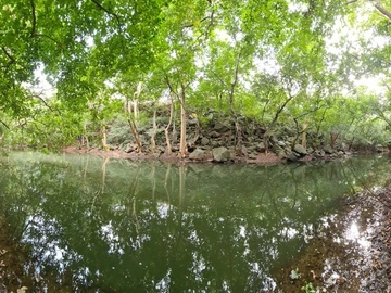 Terrain