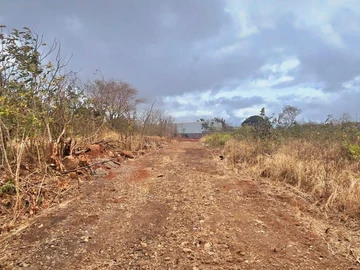 Terrain Commercial