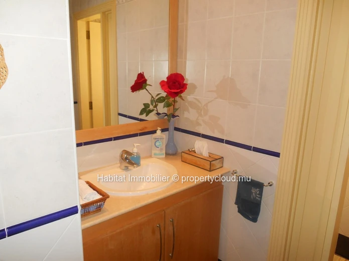 For sale - Beautiful furnished house of 600 m2 in Black River.