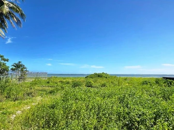 Land