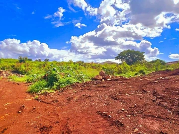 Terrain Commercial