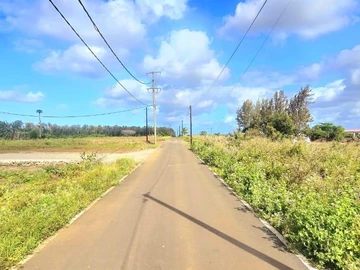 Terrain