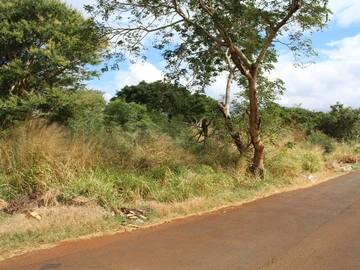 Terrain Commercial