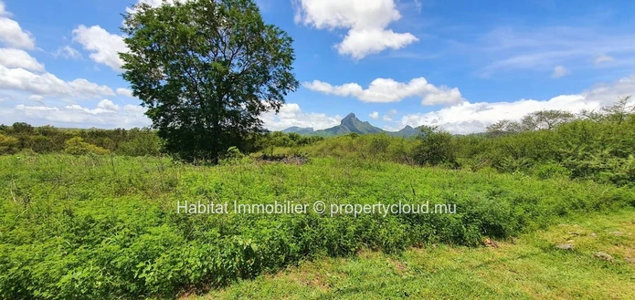 FOR SALE - Unique land of 7 acres has generous dimensions connected to the Tamarin River for a high class development.