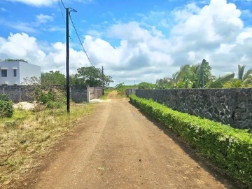Terrain