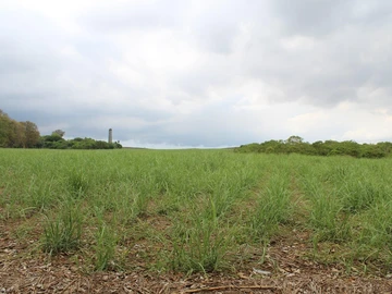 Terrain Agricole