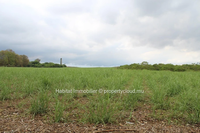 FOR SALE - Agricultural land of 4 acres on the main road in Petite Julie. 