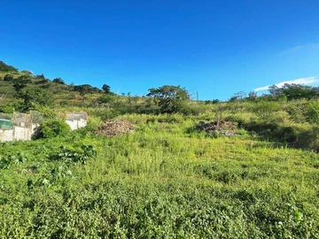 Terrain