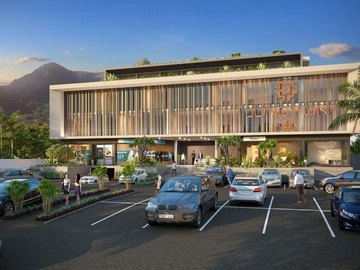 Immobilier Commerciaux