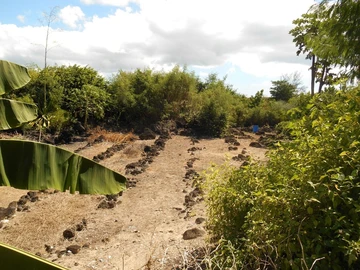 Terrain