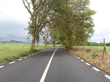 Terrain Agricole