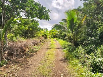 Agricultural Land