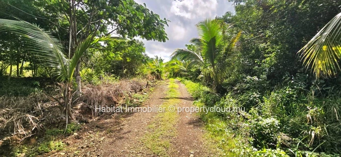 Plots of land ranging from 50 perches (2,110 m²) to 67 perches (2,840 m²) at Baie du Cap 