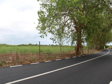 Terrain Agricole