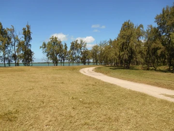Terrain