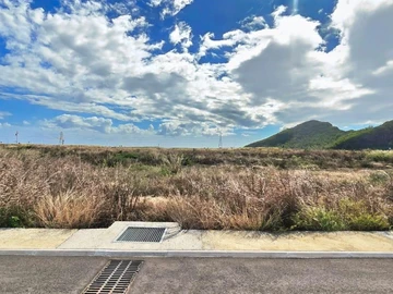 Terrain
